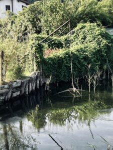 IMG_5735