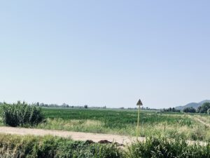 IMG_5748